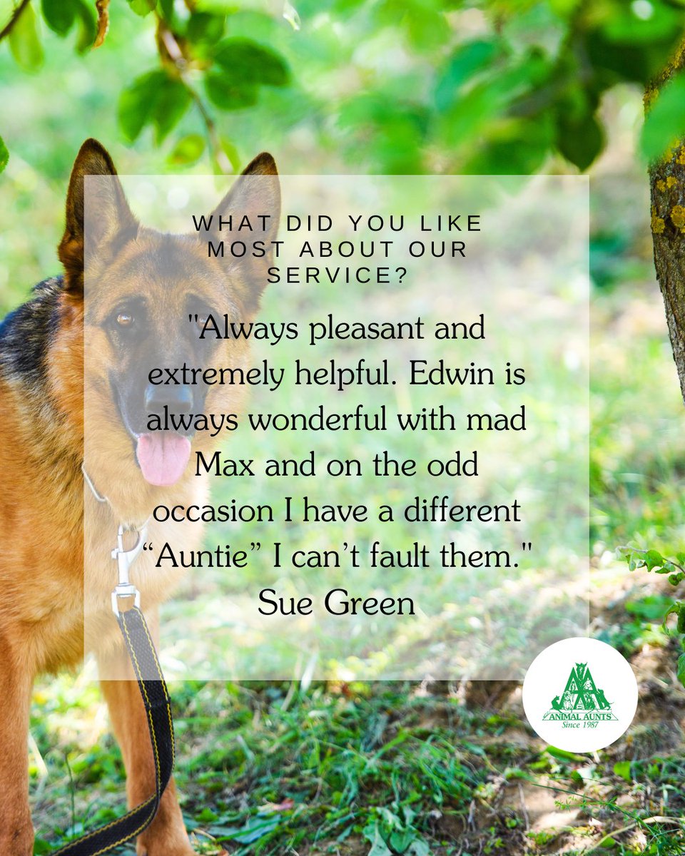 Animal Aunts tweet media