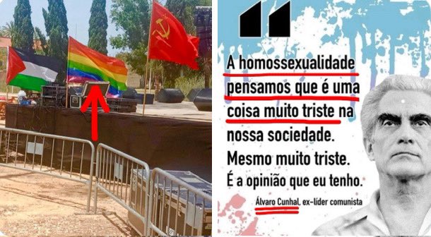 Maria Vieira tweet media