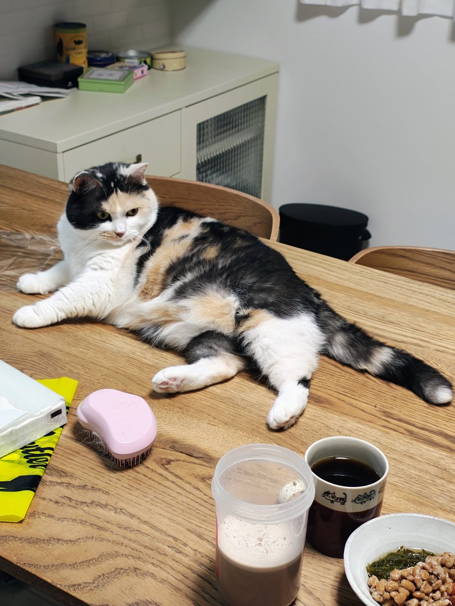 ともぞお tweet media