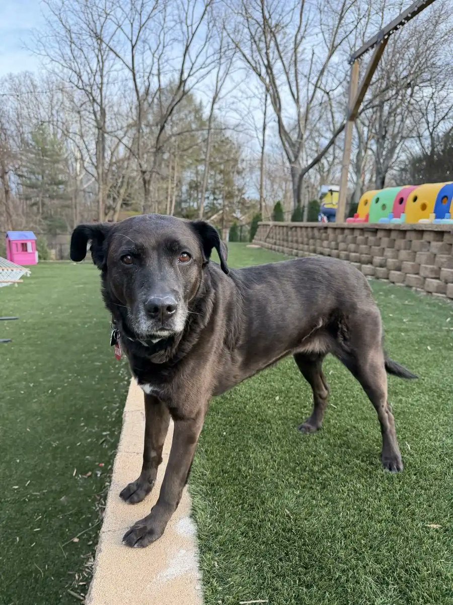 House with a Heart tweet media