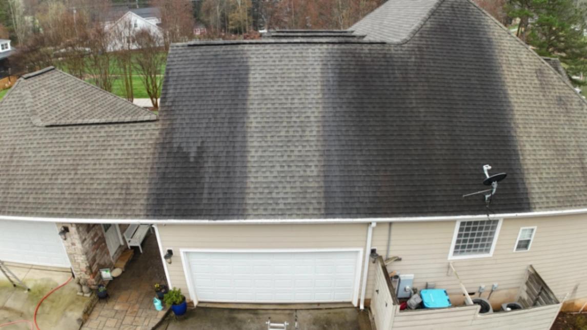 Rebecca Allen tweet media