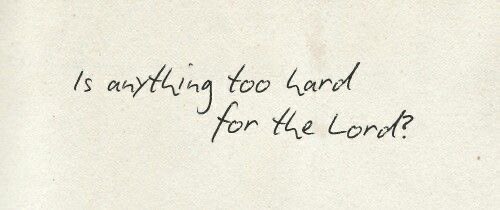 カイノス tweet media