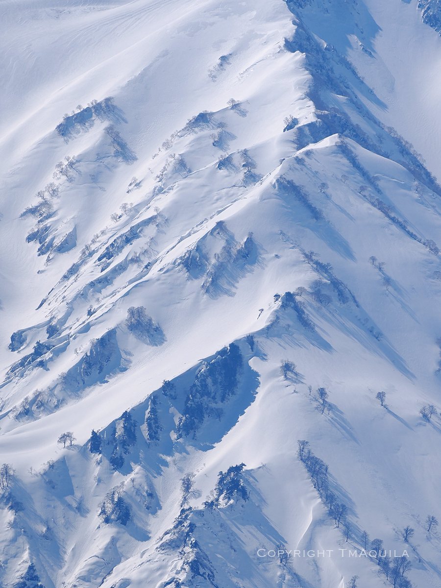 tMAquila tweet media