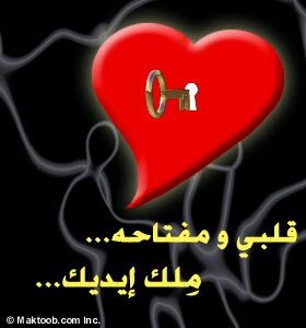 طائر الغدير tweet media