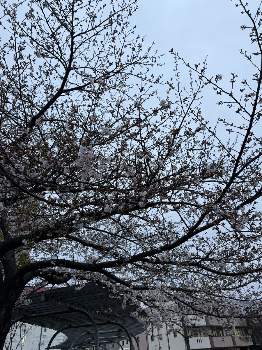 まさやん@しごおわの会 tweet media