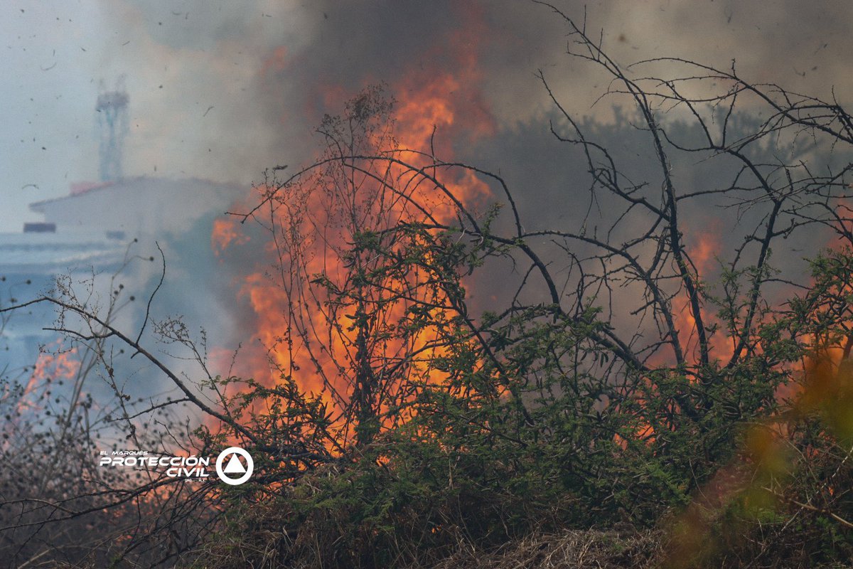 Protección Civil El Marqués tweet media