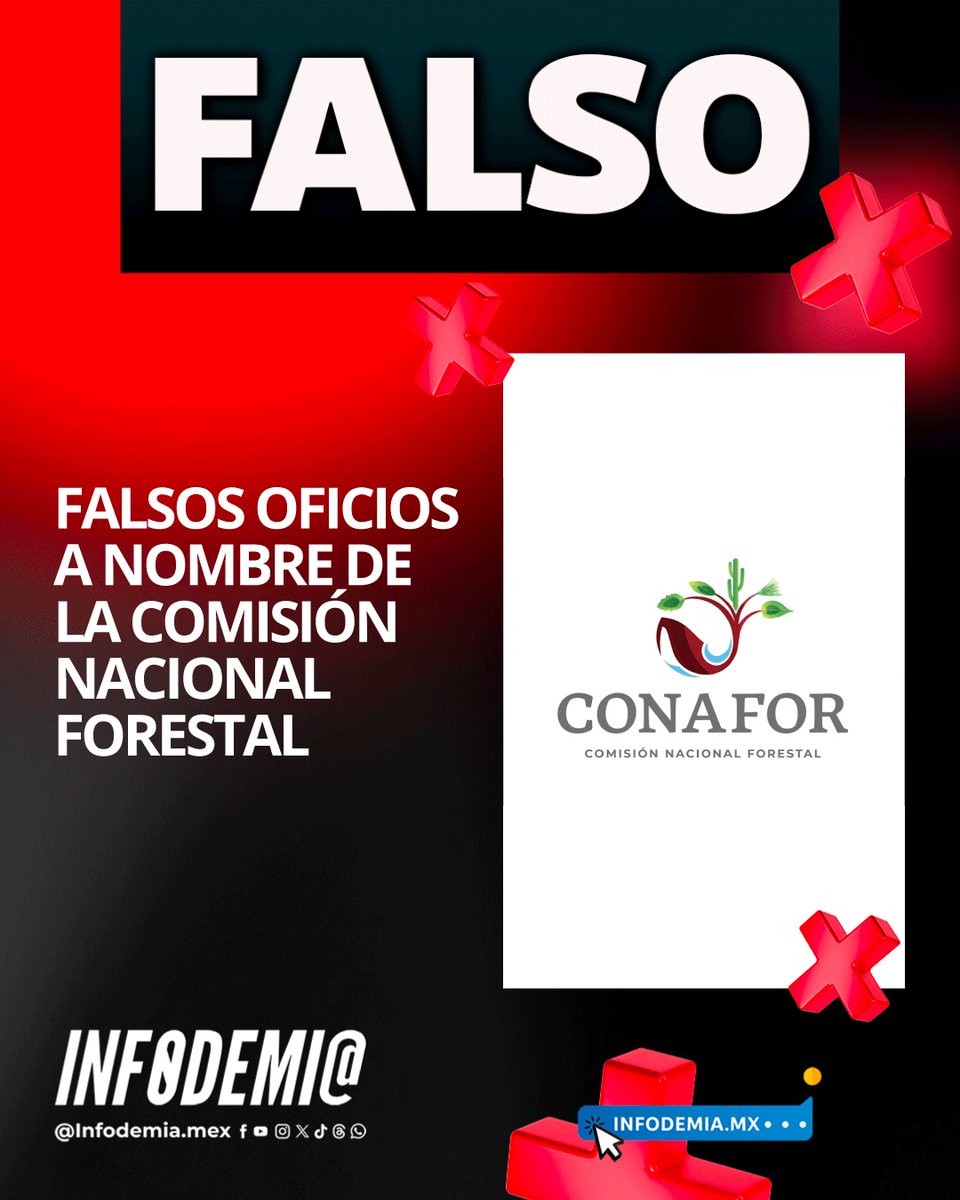 InfodemiaMx tweet media