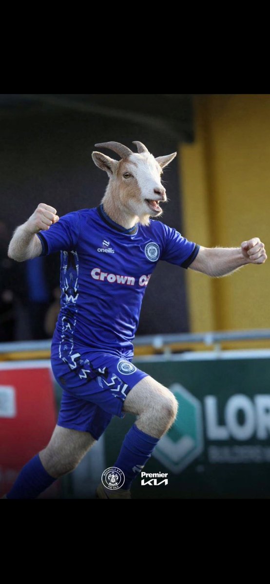 Stig Strand - Amiqus tweet media