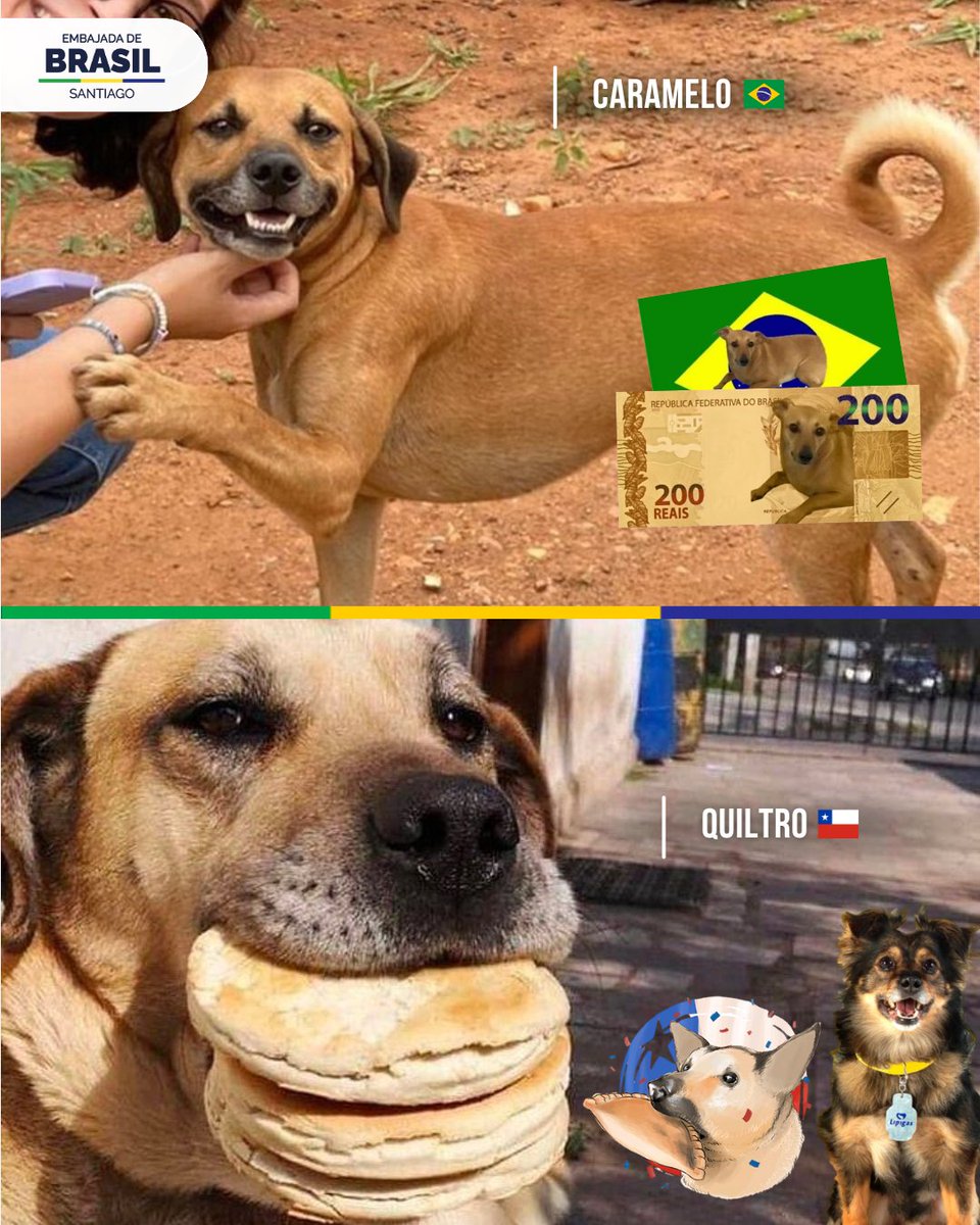Embajada de Brasil en Chile 🇧🇷🇨🇱 tweet media