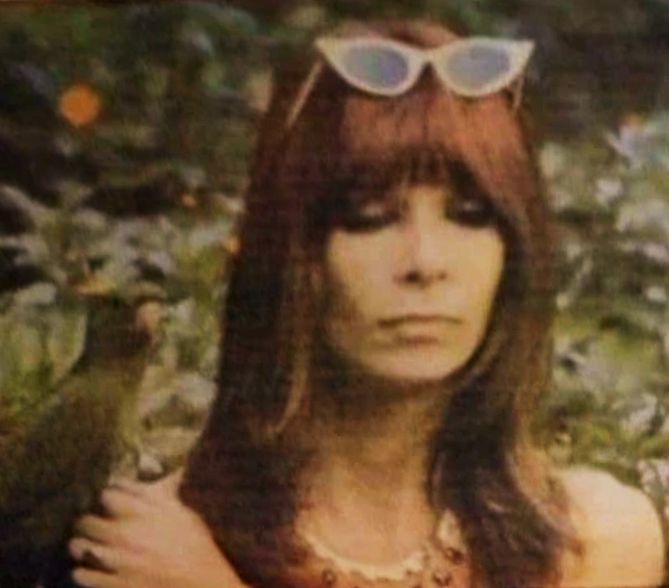 acervo lee 🛸 tweet media