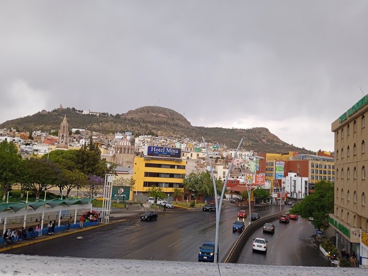 Alejandra tweet media