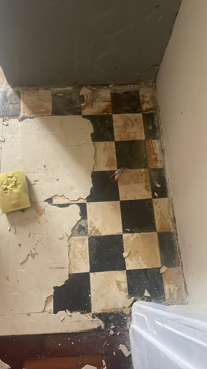 antônia tweet media