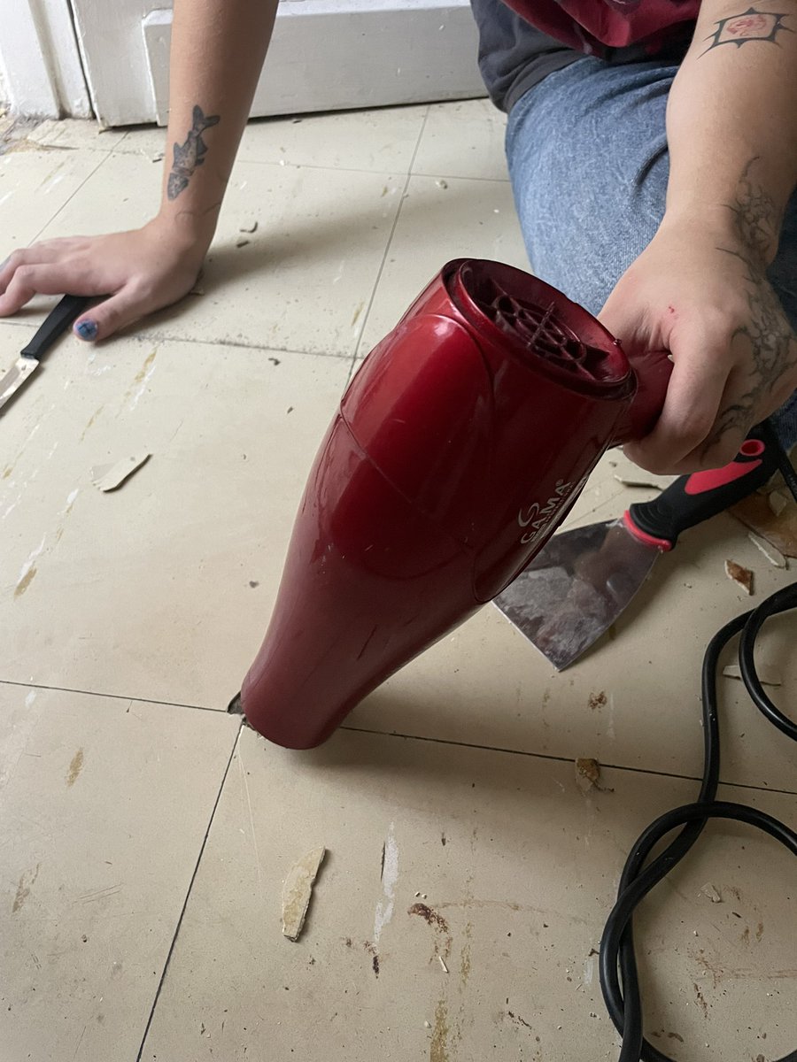 antônia tweet media