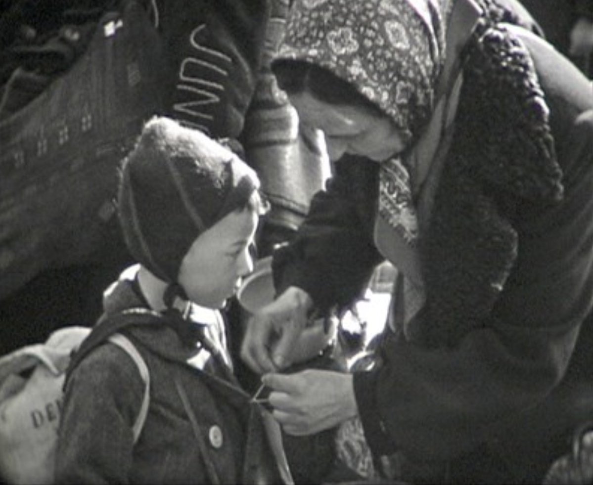 Auschwitz Exhibition tweet media