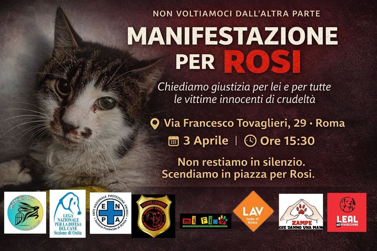 LᎾℬᎯ tweet media