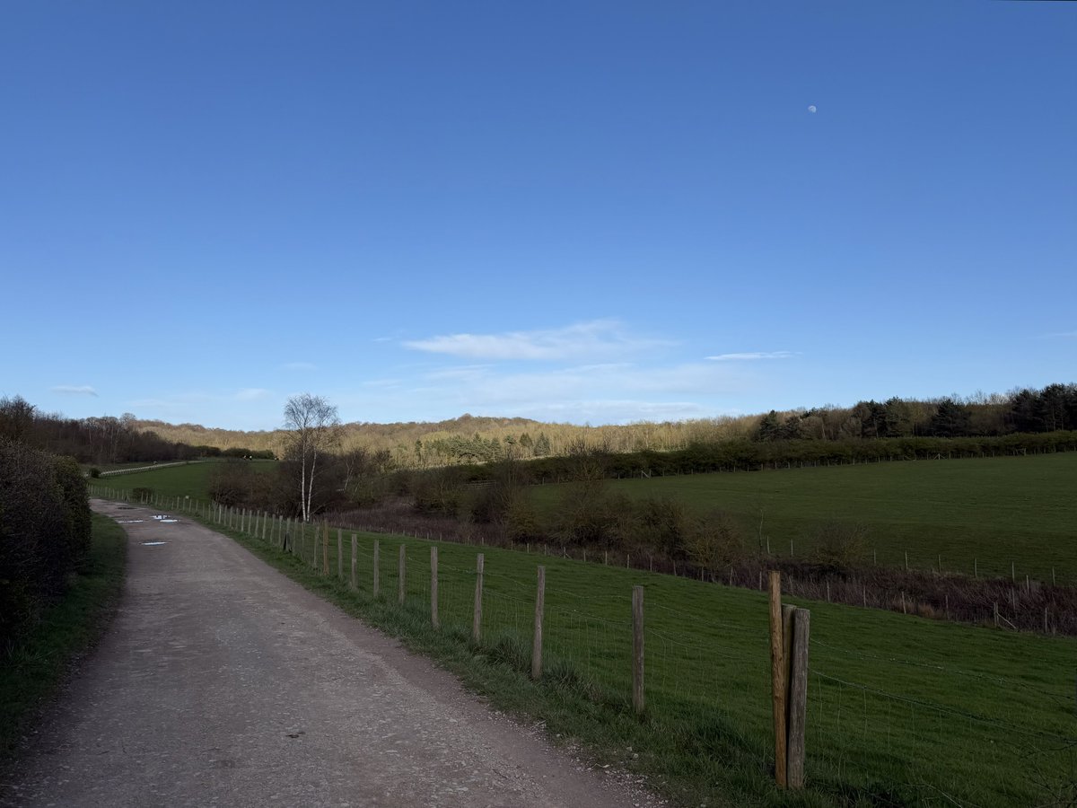 rly cool girl tweet media