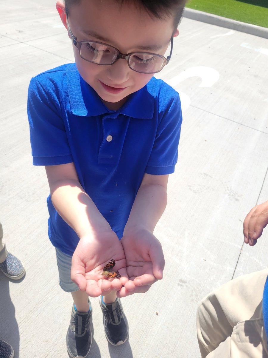 Dolphin Terrace ES tweet media