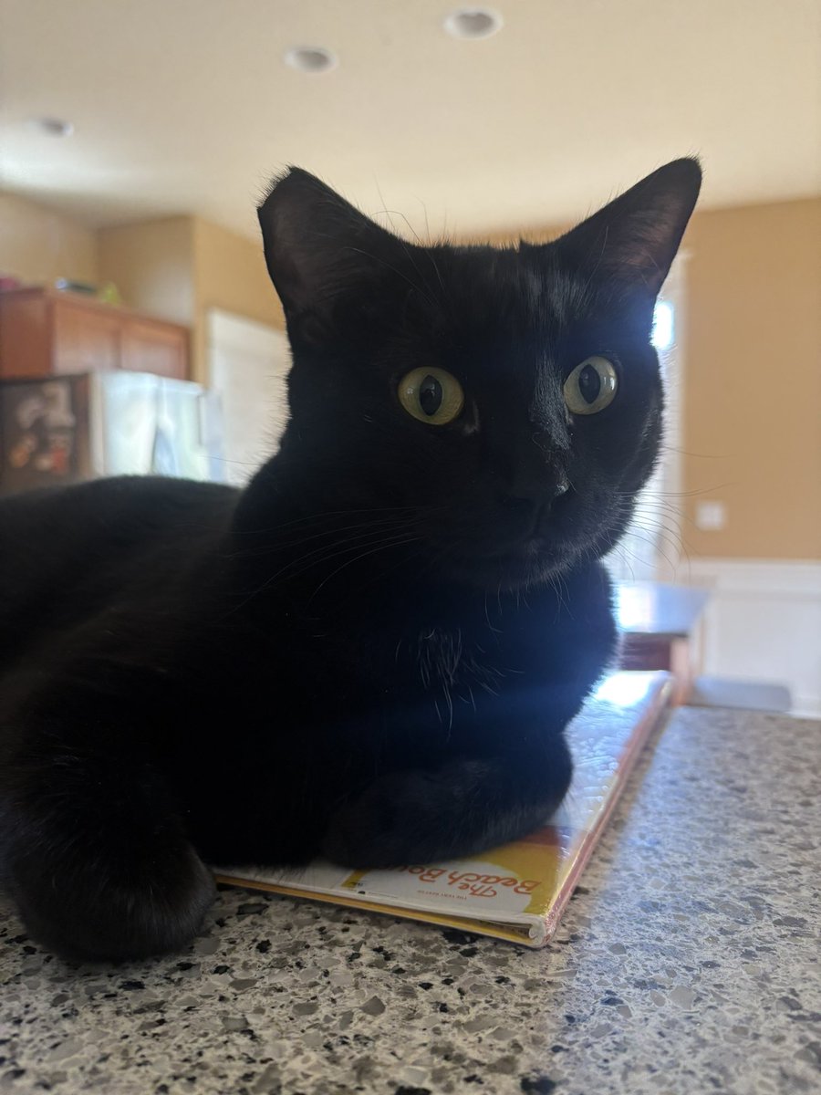 bella☁︎ tweet media