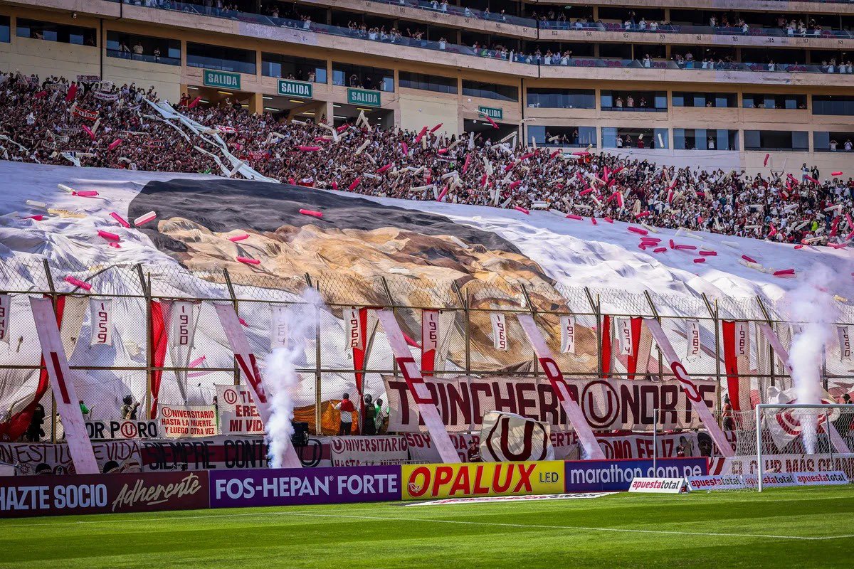 Niamh Hanrahan tweet media