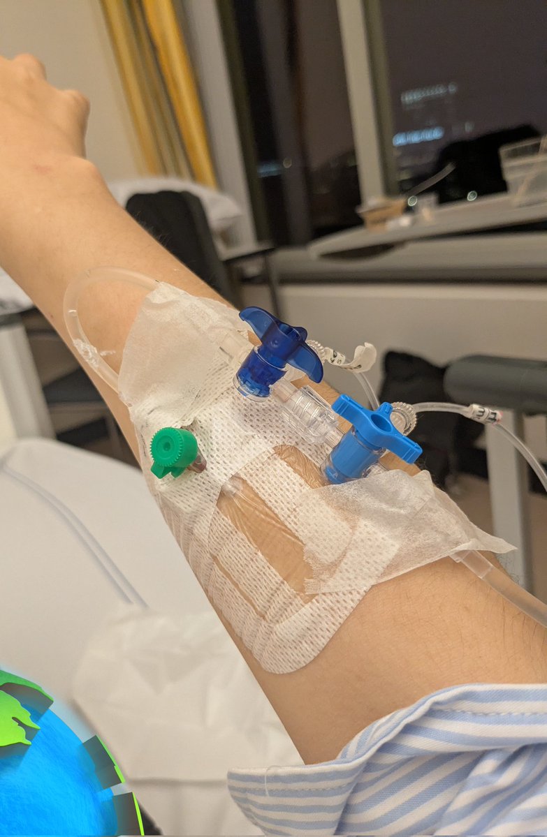 Yuria of Ailurus 🎋 tweet media