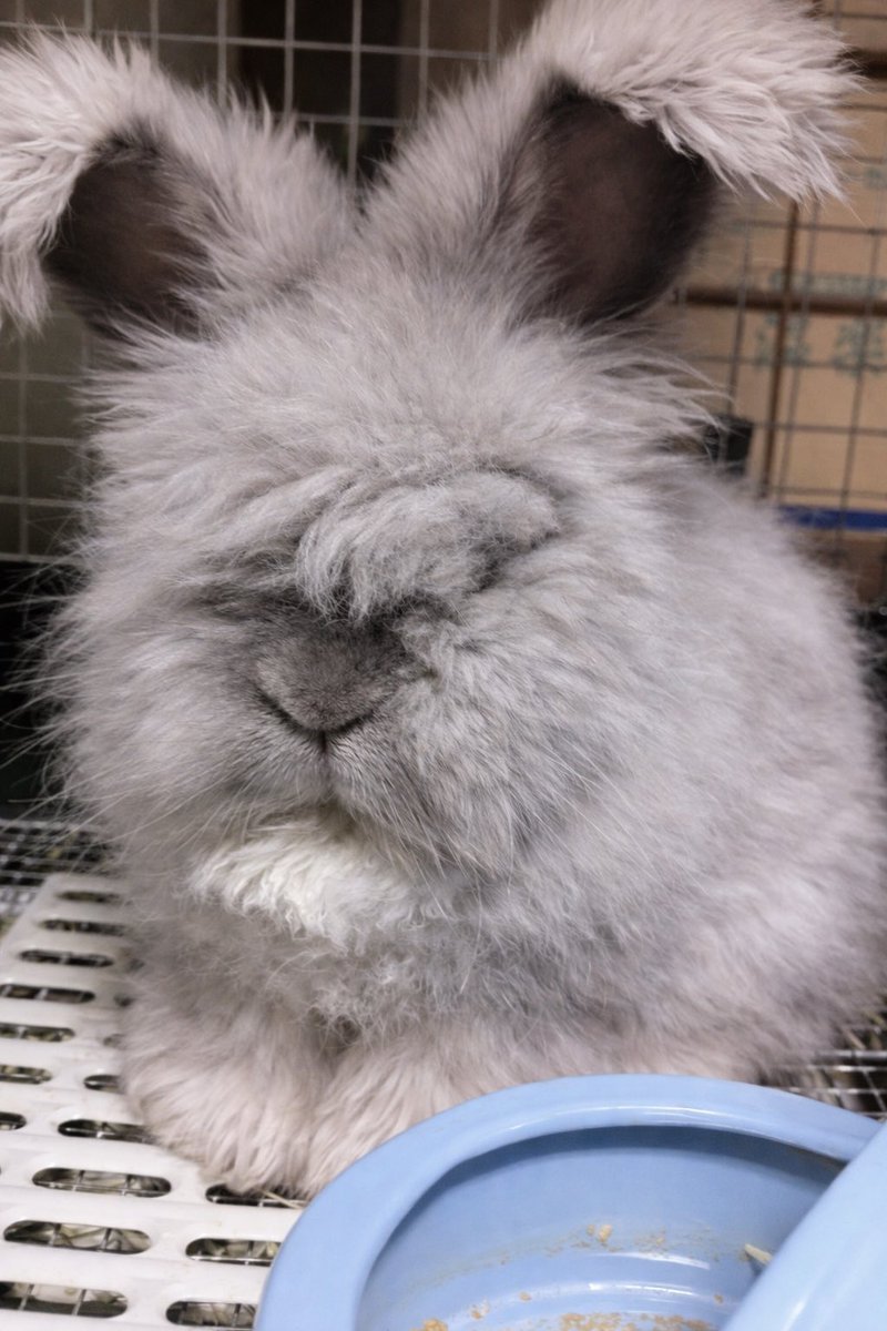 okui_chan tweet media