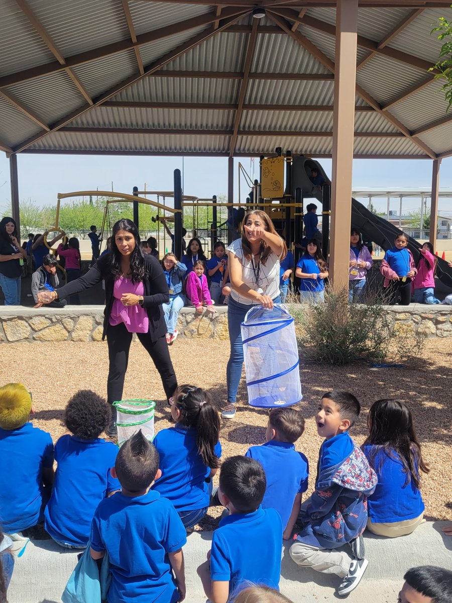 Dolphin Terrace ES tweet media