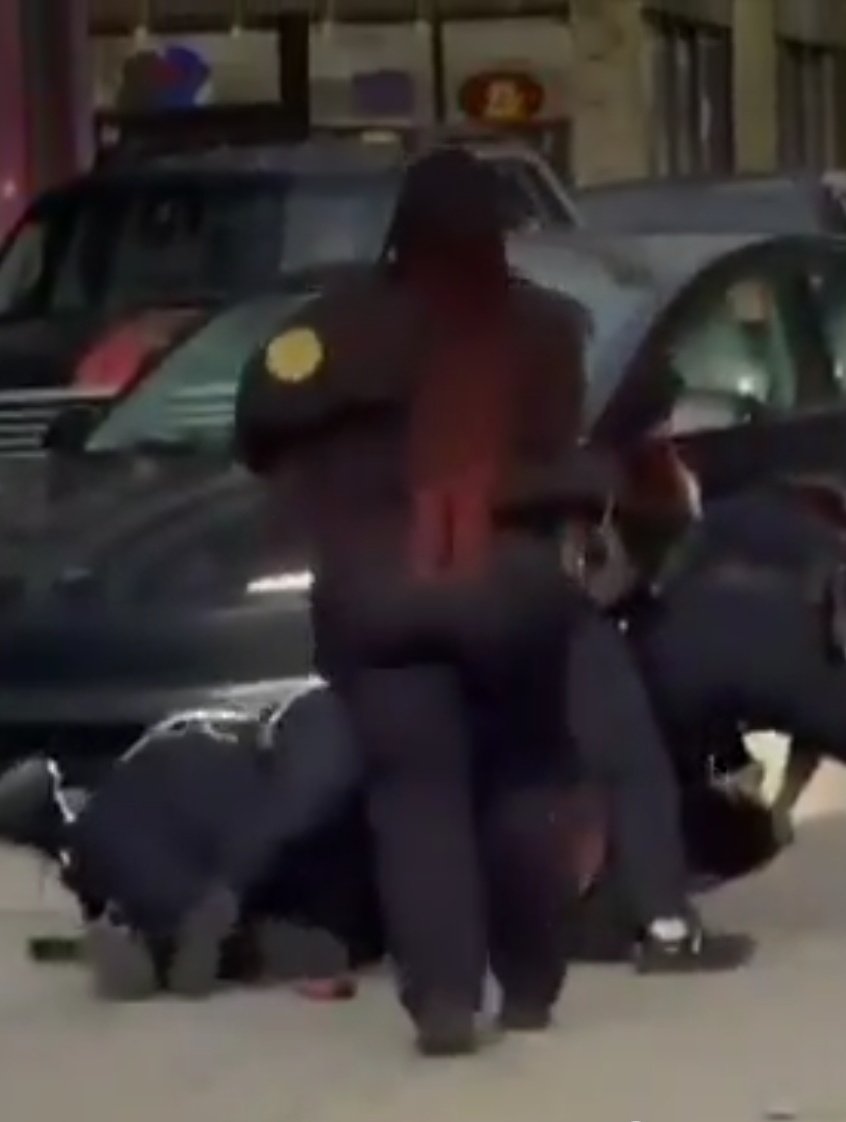 iCanPlant🍁 tweet media