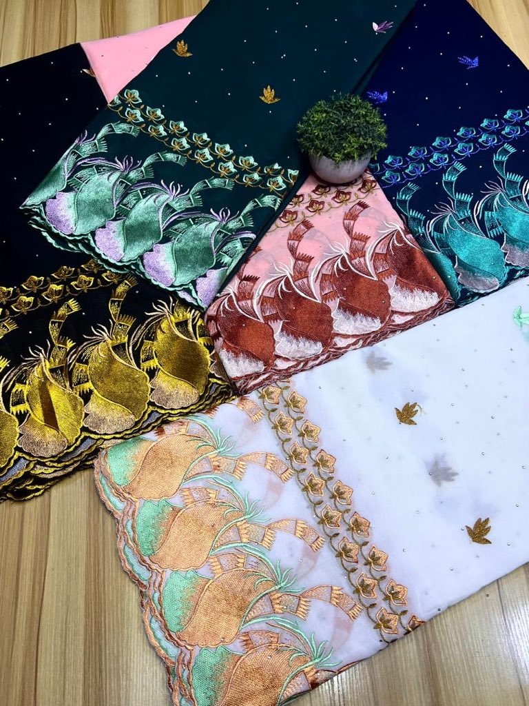 Haleema Abubakar🌹 tweet media