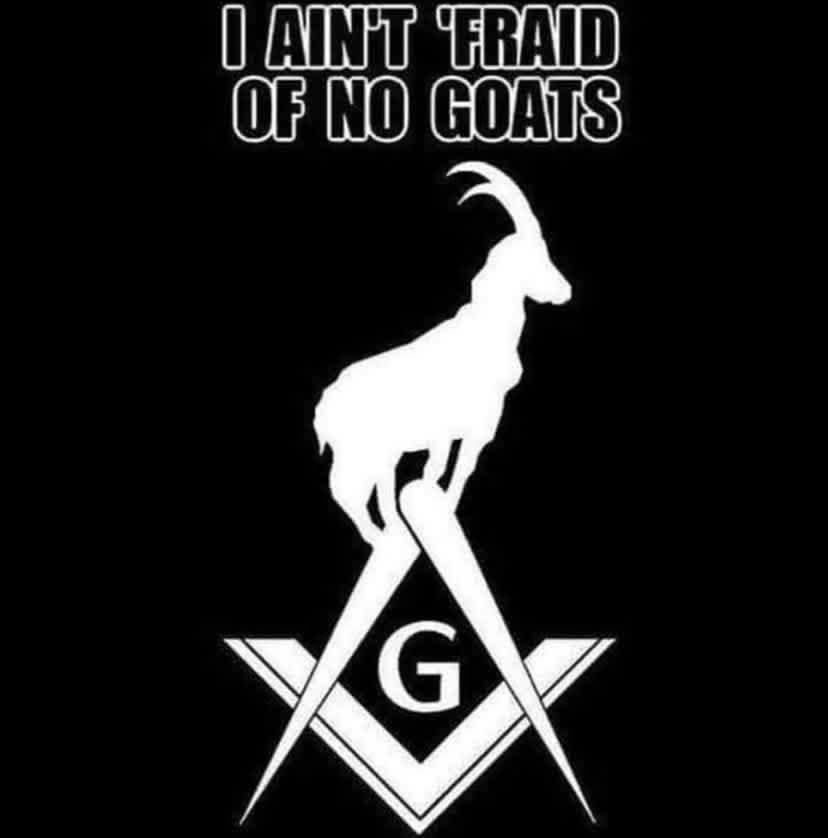 Timothy John Noble tweet media