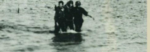 Tim Timsen tweet media