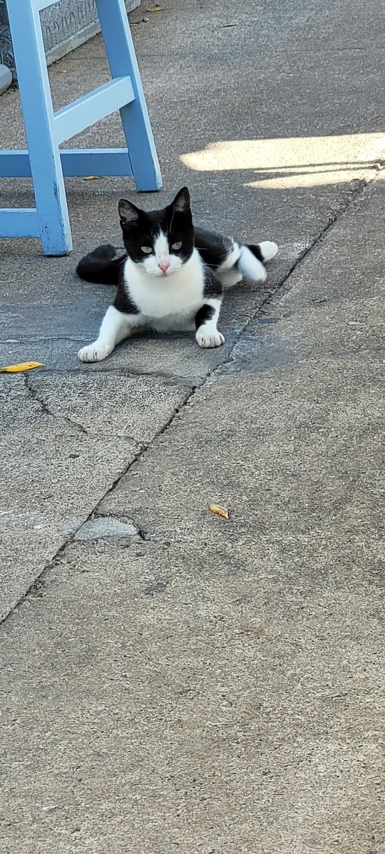 Teresita tweet media