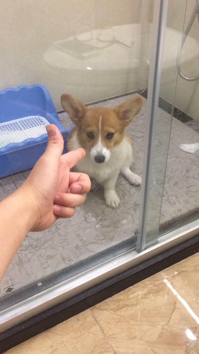 Jennifer Rix tweet media