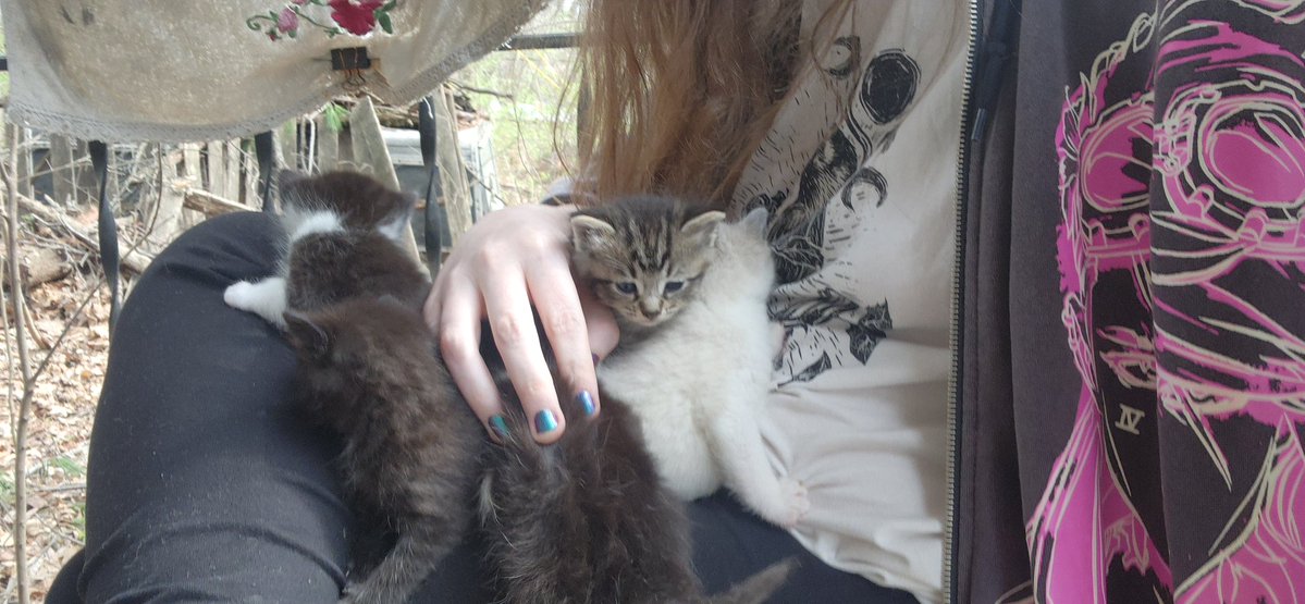 May Dawn 命🌺 tweet media