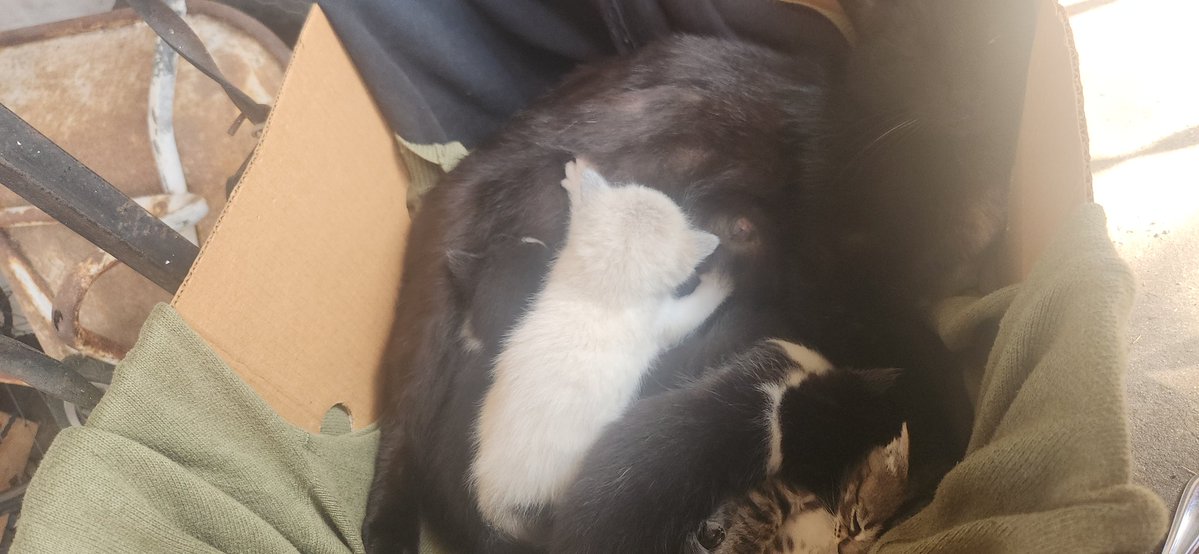 May Dawn 命🌺 tweet media