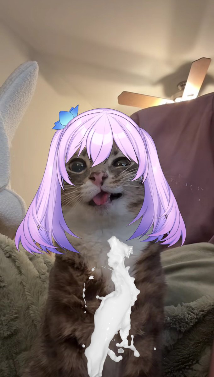 EVIL Kyria la Kasane TETOna de Aliexpress🌺🌞 tweet media