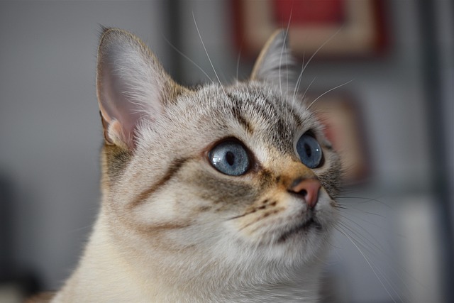 Troy Edwards tweet media