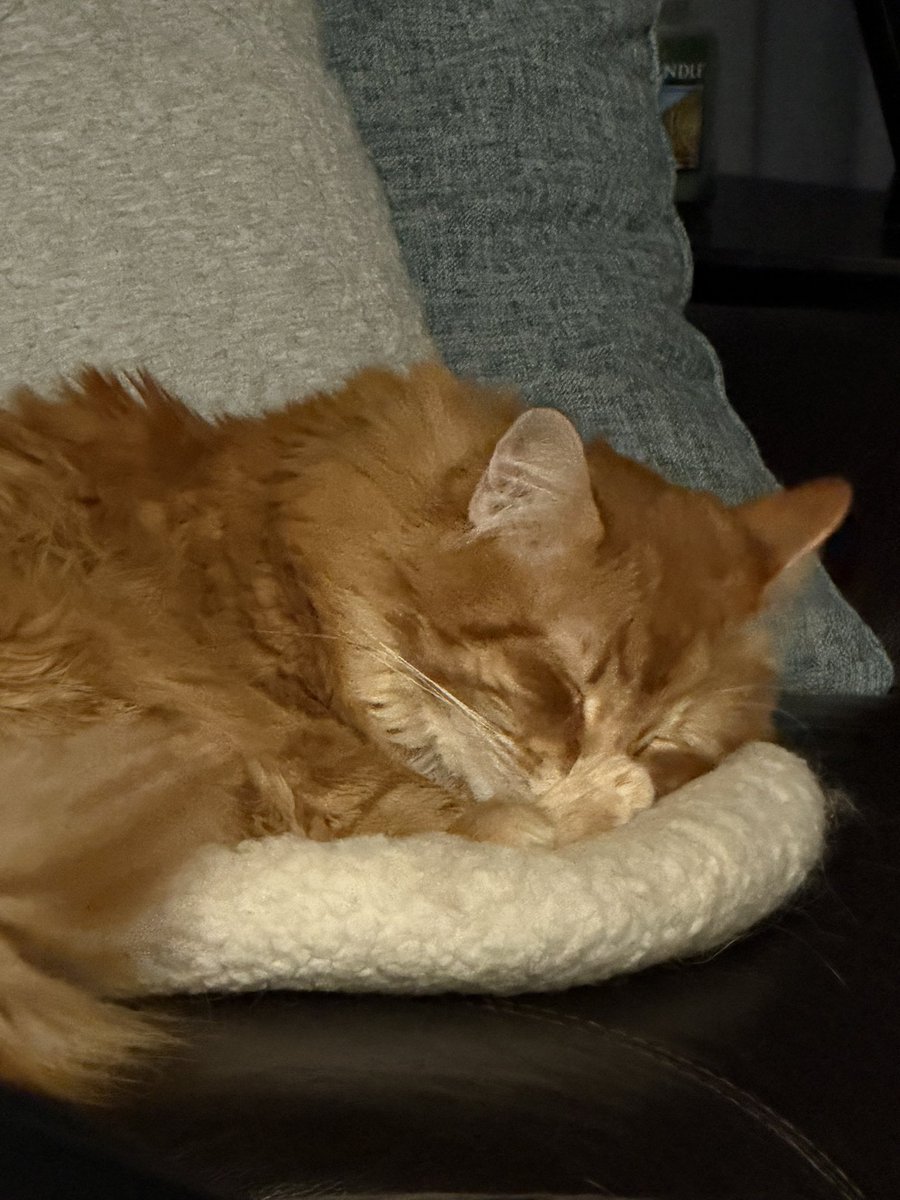 Andrew McCarthy tweet media