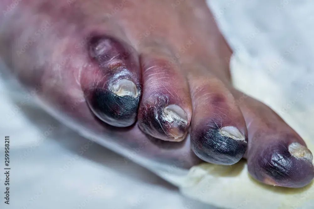 Modern Health tweet media