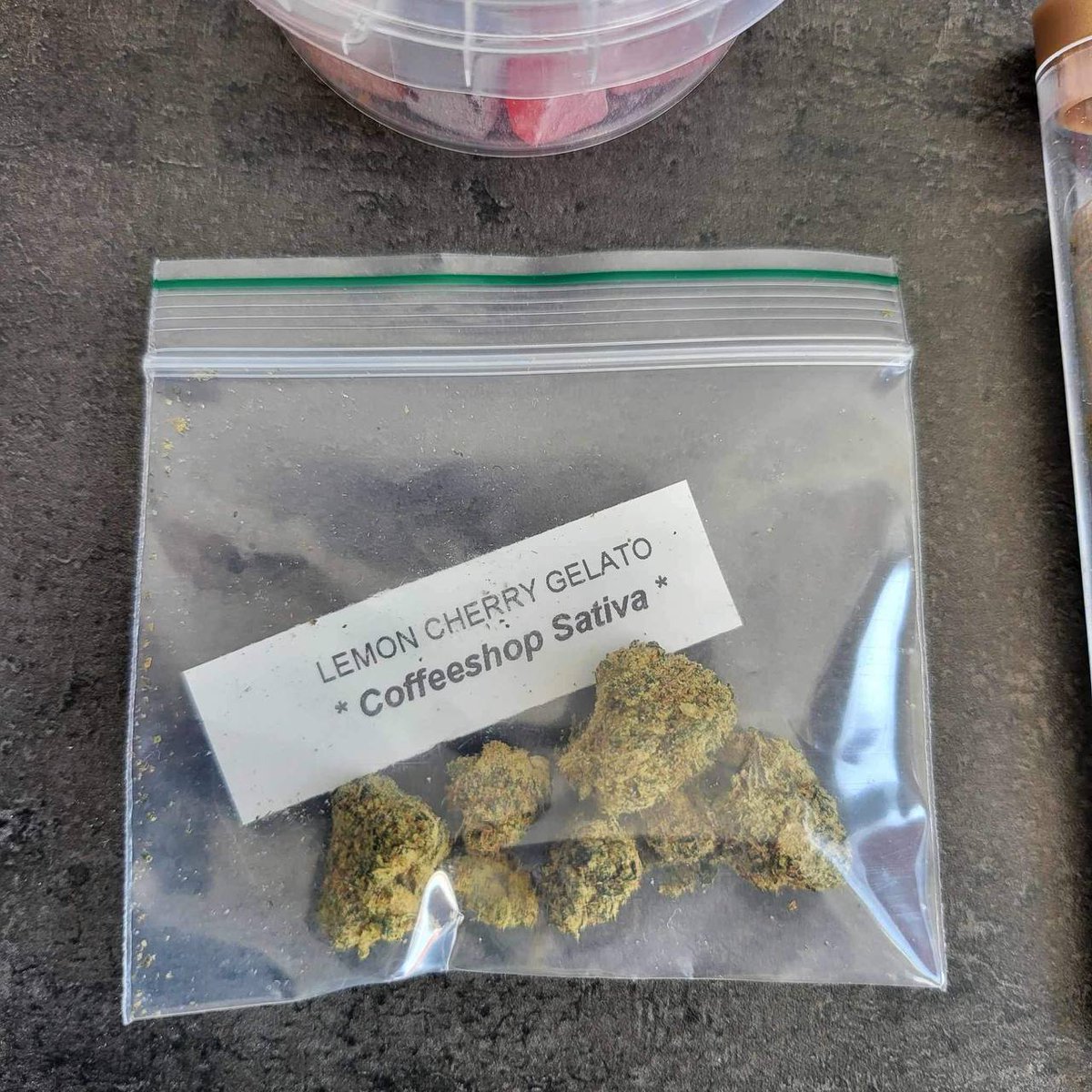 sincity seeds tweet media