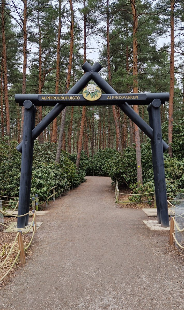 Jussi Nuorteva tweet media