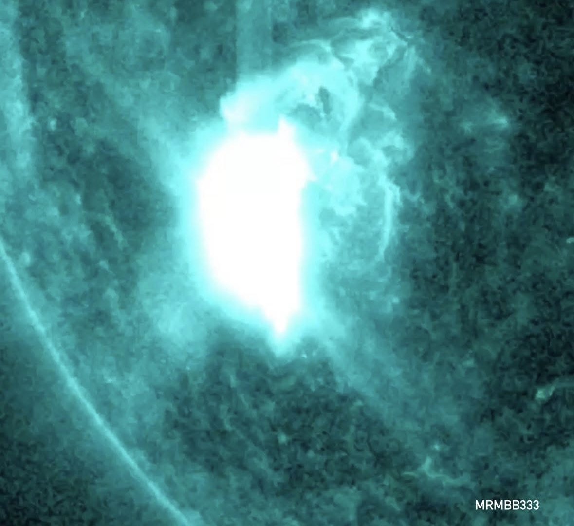 Michael Bradbury tweet media