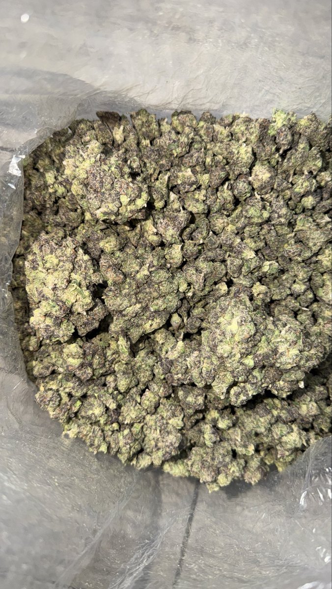 PGH_EXOTIC's tweet image. NEW FLAVOR!!
FRUITY PEBBLES SMALLZ 🍬 
$125 a oz
HIT THE DM #pittsburghweed #nocontactdelivery #PGH #Pittsburgh #za #bud