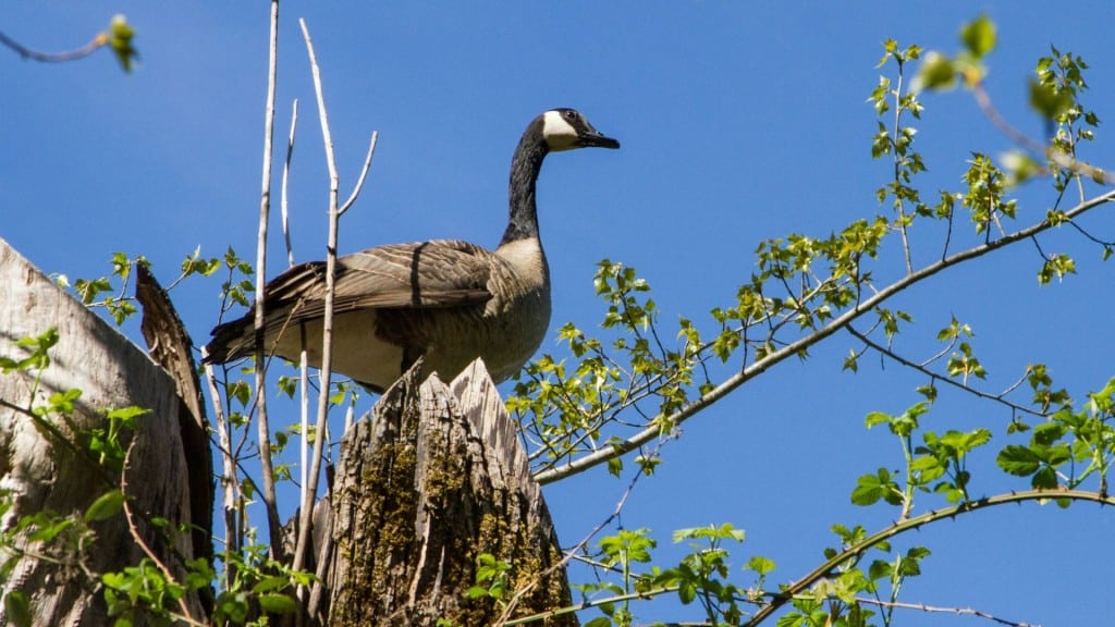 energeticcity tweet media