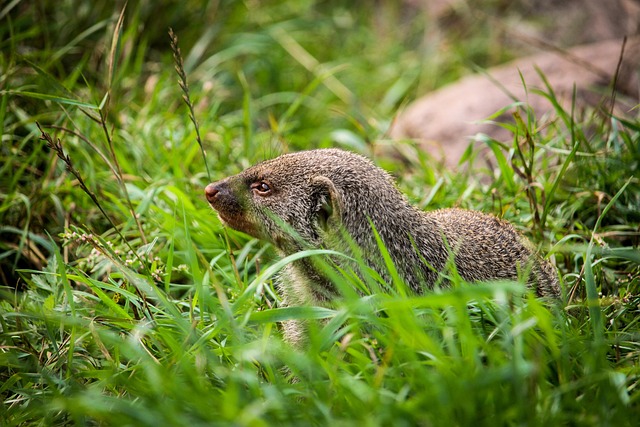 ちくわ @chikuwa_richest tweet media