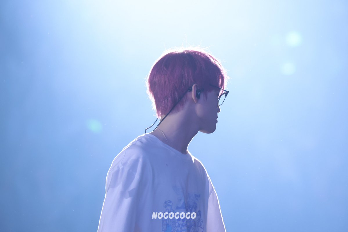 NOGOGOGO tweet media