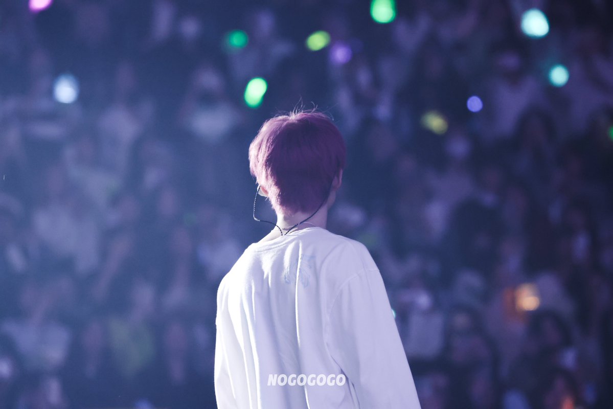 NOGOGOGO tweet media