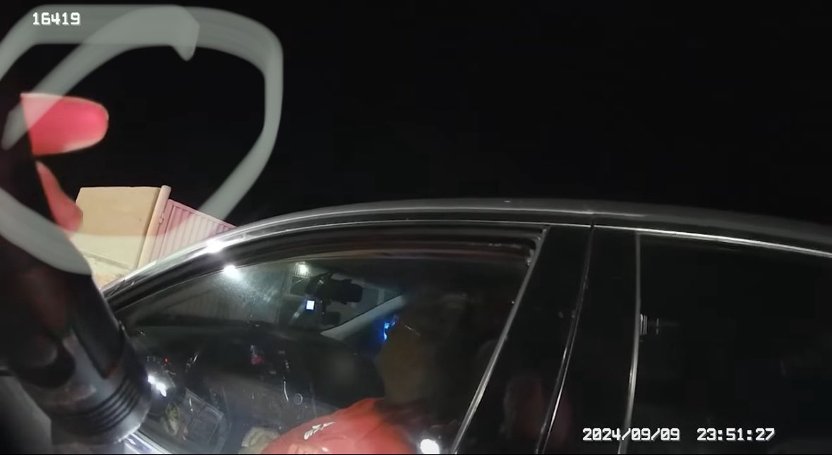 Anti Cheetah Pee 🇺🇸 tweet media