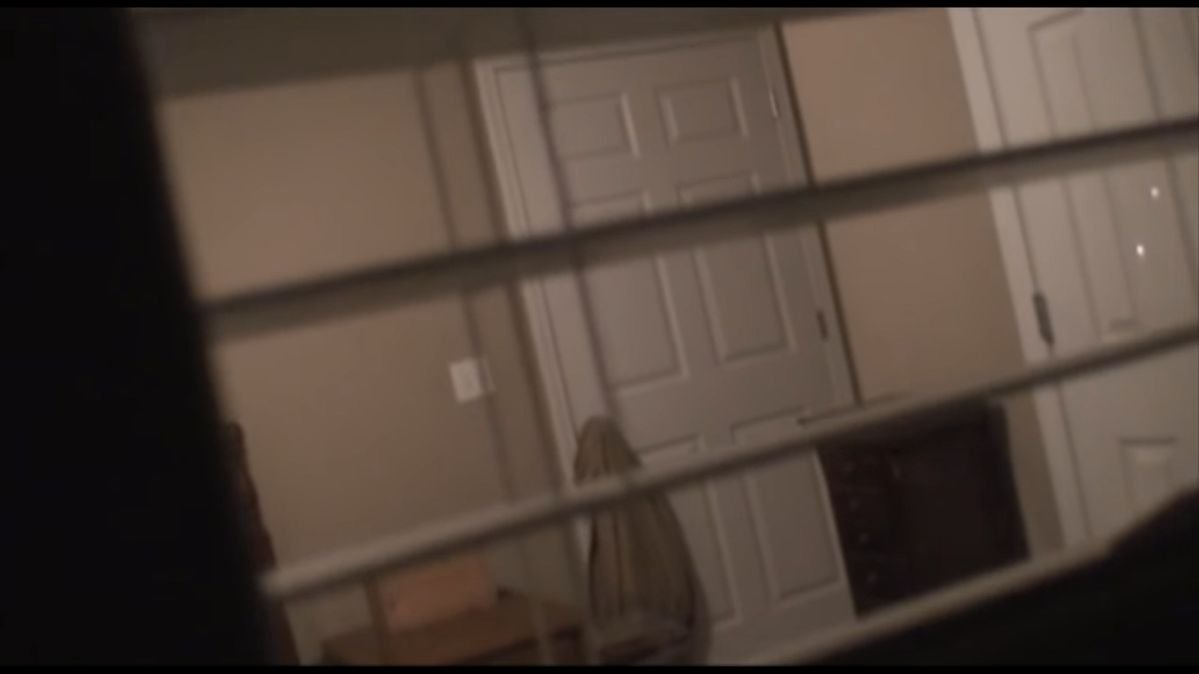 MythoAmerica 🌲 tweet media