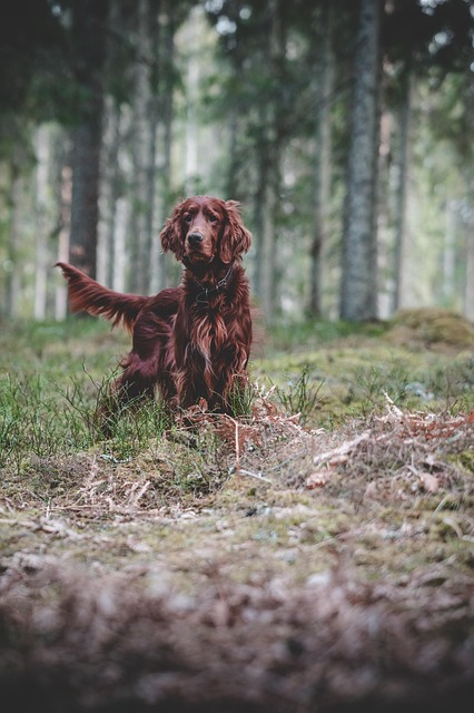 Sarah Ward tweet media