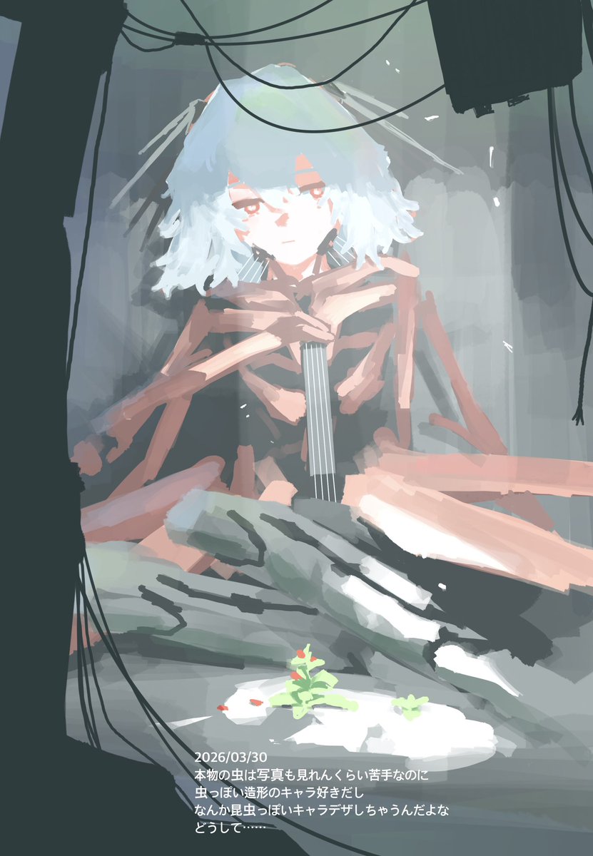 赤い植物 tweet media